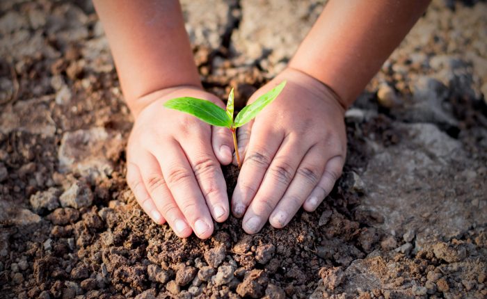 location bus, bus avec chauffeur, car scolaire, Voyage scolaire enfants nature