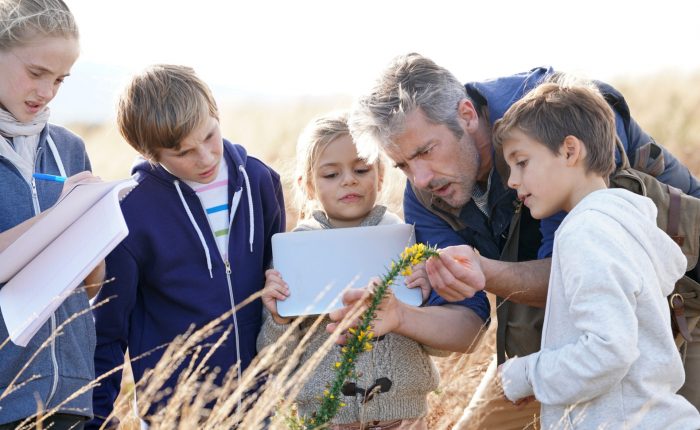 location bus, bus avec chauffeur, car scolaire, bus scolaire