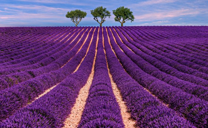 location bus, bus avec chauffeur, car scolaire,Voyage scolaire Luberon