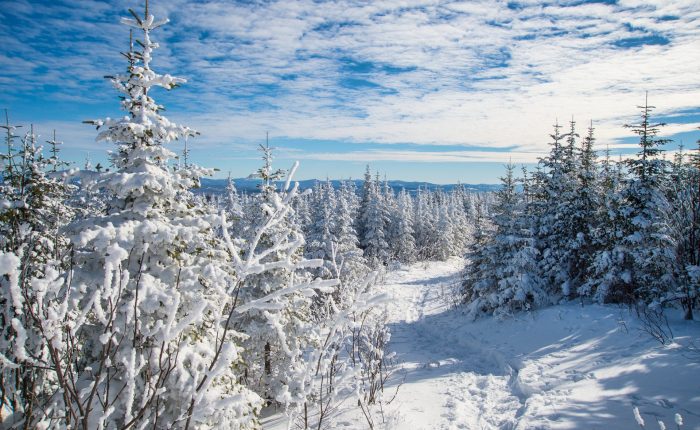 location bus, bus avec chauffeur, car scolaire, Groupe Perraud, voyages d'hiver Canada